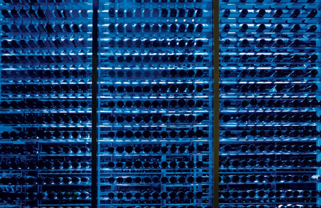 Secrets The Vine Cancun (Adults Only)-1