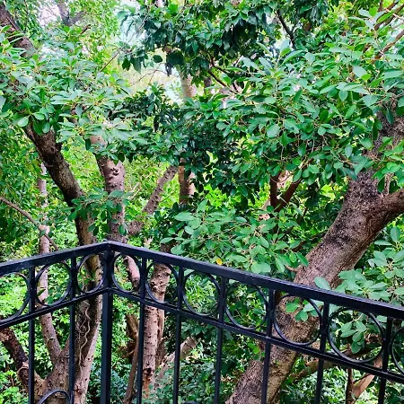 Villa Antilope-3