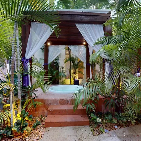 Oasis Palm-3