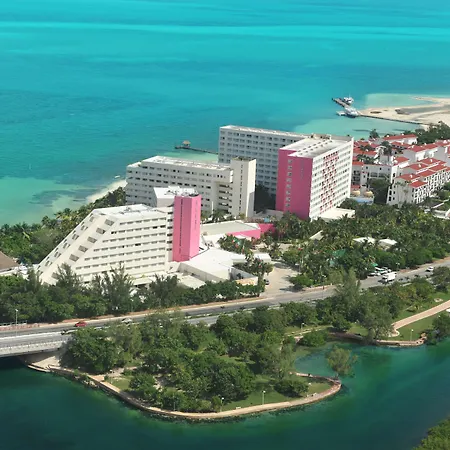 Oasis Palm-2