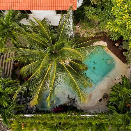 Mezcal Boutique Hotel-3